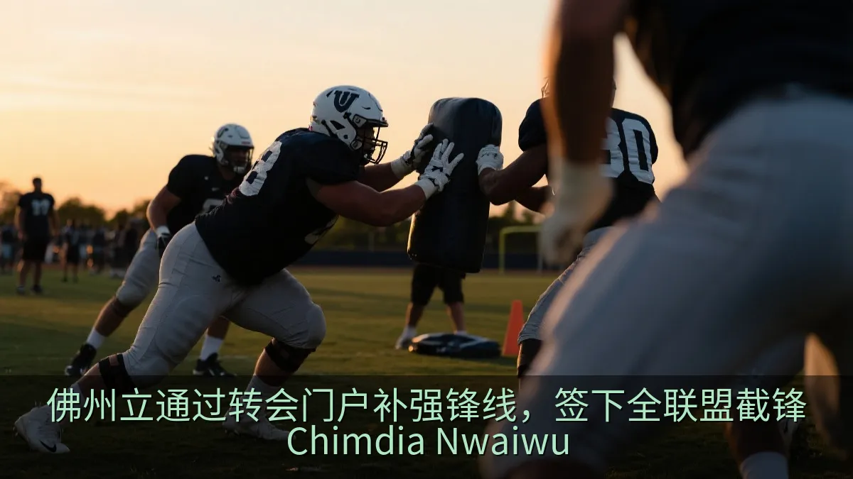 佛州立通过转会门户补强锋线，签下全联盟截锋Chimdia Nwaiwu