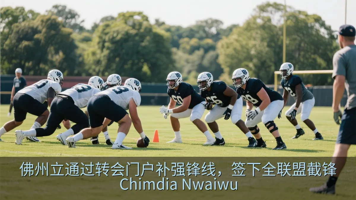 大学橄榄球队在夏季训练营进行进攻组训练
